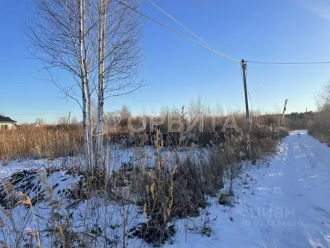 Участок в Тюменская область, Тюмень Березняки СНТ,  (6.61 сот.)