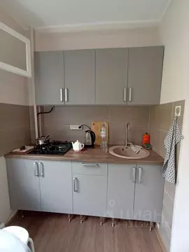 2-к кв. Санкт-Петербург Ново-Александровская ул., 17 (44.0 м)
