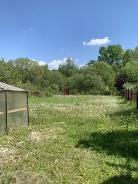 Участок в Калужская область, Калуга Машзавод СНТ, 259 (4.54 сот.)