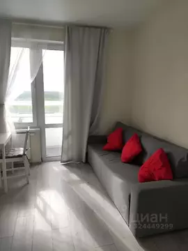 Студия Московская область, Долгопрудный Парковая ул., 52 (25.0 м)