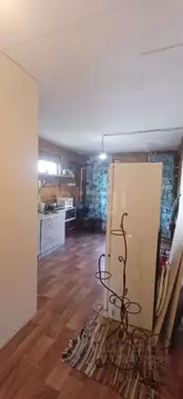 Дом в Алтай, Майминский район, с. Майма ул. М. Стяжкина, 20 (85 м)