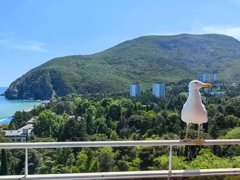 2-к кв. Крым, Алушта муниципальный округ, Партенит пгт ул. Прибрежная, ...