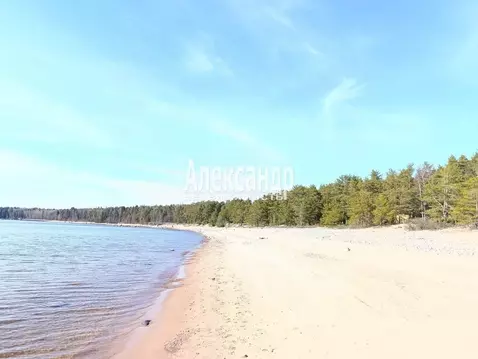 Дом в Ленинградская область, Выборгский район, Полянское с/пос, пос. ...