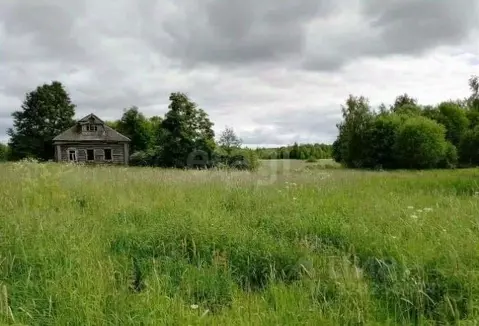 Участок в Костромская область, Чухломский район, Повалихинское с/пос, ...