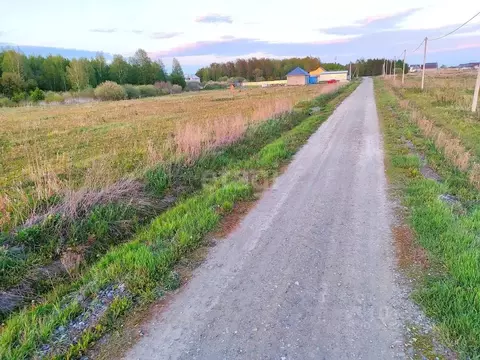 Участок в Тюменская область, Тюменский район, с. Борки ул. ...