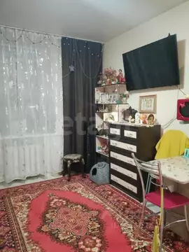 Студия Башкортостан, Уфа ул. Калинина, 57а (17.8 м)