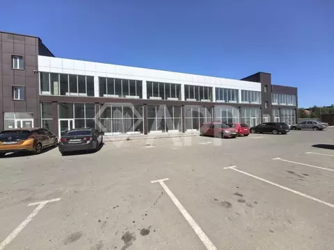 Помещение свободного назначения в Краснодарский край, Краснодар ул. ...