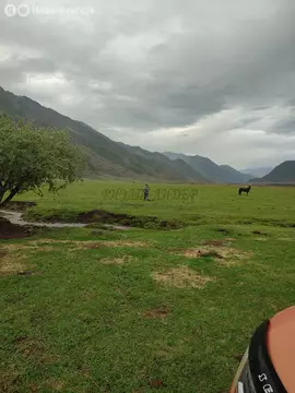 Участок в Чемальский район, село Куюс (12 м)