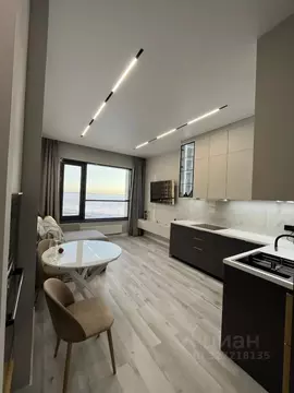 2-к кв. Санкт-Петербург ул. Челюскина, 10 (49.5 м)