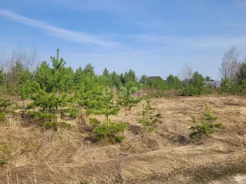 Участок в Владимирская область, Муром с. Ковардицы, ул. Каштановая ...