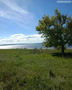 Участок в Самарская область, Приволжский район, с. Софьино  (30.0 ...