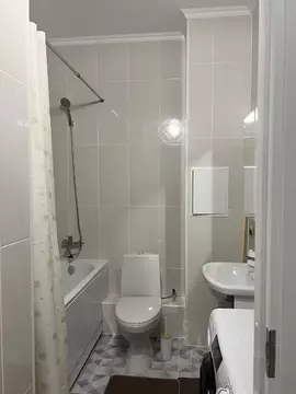 1-к кв. Санкт-Петербург пос. Шушары, ул. Нины Петровой, 8к4 (40.0 м)