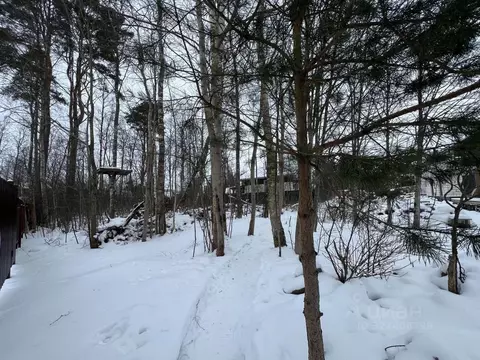 Участок в Ленинградская область, Ломоносовский район, Лебяженское ...