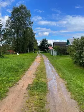 Участок в Тверская область, Старицкий муниципальный округ, д. Каленицы ...
