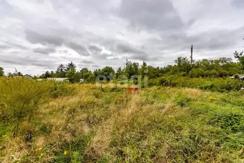 Участок в Еврейская автономная область, Смидовичский район, Энтузиаст ...