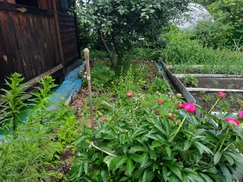 Дом в Свердловская область, Березовский № 8 КС,  (40 м)