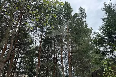 Участок в Московская область, Красногорск городской округ, д. ...
