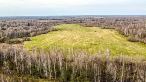 Участок в Томская область, Томский район, д. Воронино Центральная ул., ...