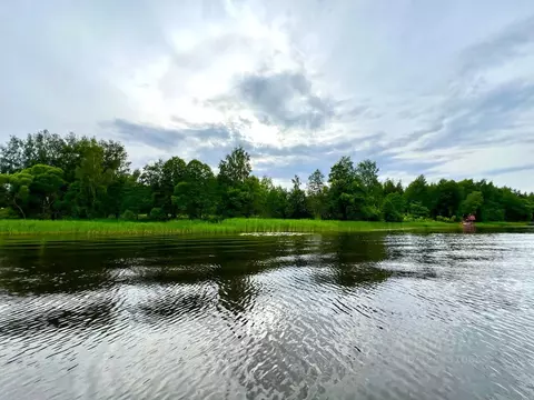 Участок в Тверская область, Конаковский муниципальный округ, д. Бабня ...