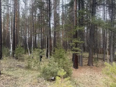Участок в Иркутская область, Шелеховский район, Шаманское ...