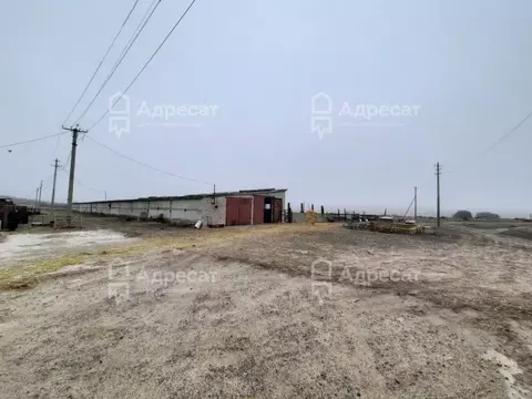 Участок в Волгоградская область, Светлоярский район, Кировское с/пос, ...