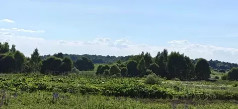 Участок в Московская область, Рузский муниципальный округ, д. ...
