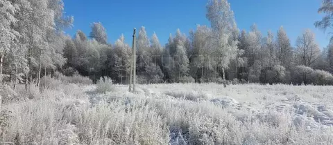 Участок в Московская область, Шатура ул. Береговая (15.0 сот.)