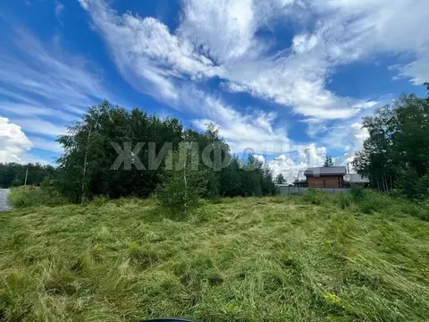 Участок в Новосибирская область, Искитимский район, Быстровский ...