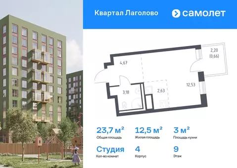 Студия Ленинградская область, Ломоносовский район, Лаголовское с/пос, ...