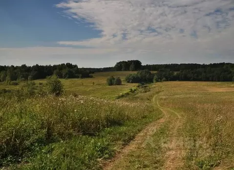 Участок в Вологодская область, д. Голубково  (11.15 сот.)