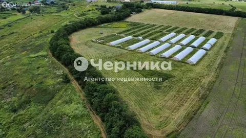 Участок в Ставропольский край, Предгорный муниципальный округ, село ...