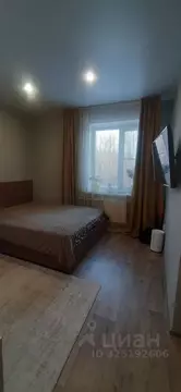 1-к кв. Курганская область, с. Кетово ул. Космонавтов, 45В (33.5 м)