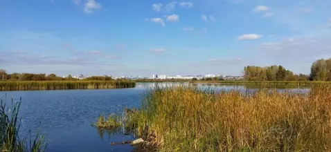 Участок в Самарская область, Самара Гатное массив,  (6.6 сот.)