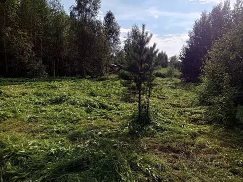 Участок в Алтай, Майминский район, Соузгинское с/пос, пос. Турбаза ...