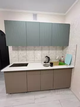 Студия Московская область, Подольск городской округ, д. Борисовка ул. ...