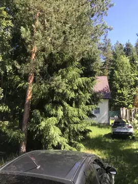 Дом в Ленинградская область, Всеволожский район, Куйвозовское с/пос, ...