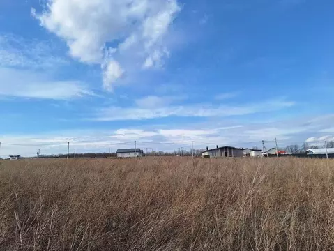 Участок в Воронежская область, Семилукский район, с. Девица ул. ...