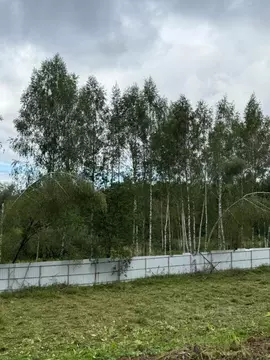 Участок в Московская область, Дмитровский муниципальный округ, д. ...