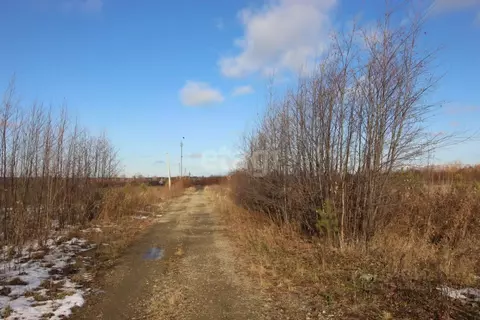 Участок в Свердловская область, Горноуральский муниципальный округ, ...