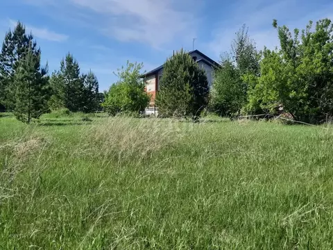 Участок в Алтайский край, Бийск городской округ, с. Фоминское пер. ...