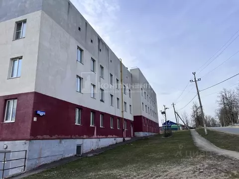 1-к кв. Владимирская область, Владимир Оргтруд мкр, Октябрьская ул., 4 ...