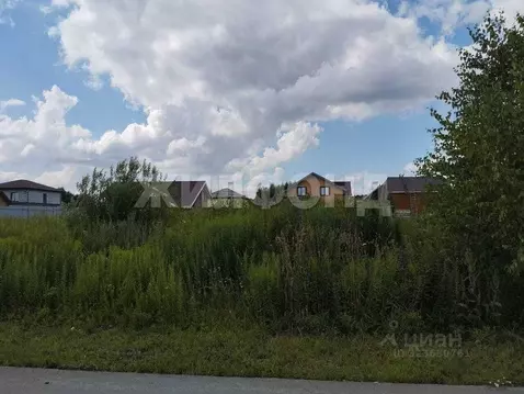 Участок в Новосибирская область, Новосибирский район, Каменский ...