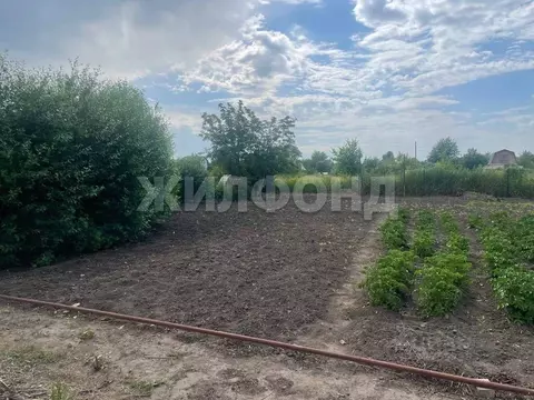 Участок в Новосибирская область, Коченевский район, Полимер СНТ  (6.0 ...