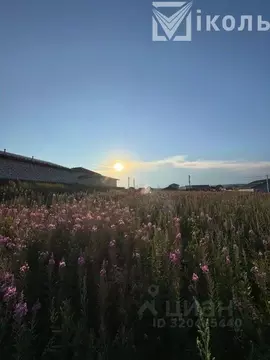 Участок в Иркутская область, Иркутский муниципальный округ, с. Мамоны ...