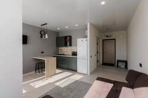 Студия Тюменская область, Тюмень ул. Виктора Тимофеева, 9 (26.0 м)