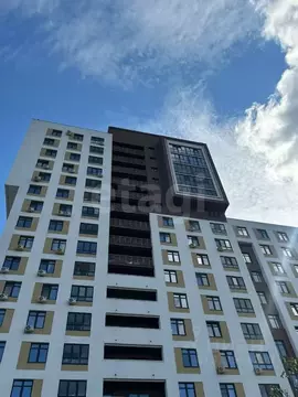 2-к кв. Нижегородская область, Нижний Новгород Артельная ул., 15/1 ...