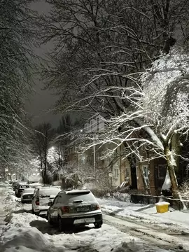 3-к кв. Калининградская область, Калининград Зоологический пер., 8 ...