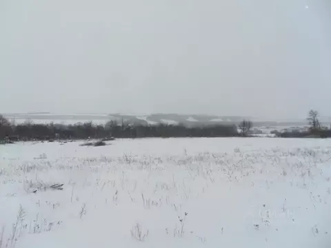 Участок в Белгородская область, Белгородский район, Беловское с/пос, ...