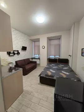 Студия Санкт-Петербург 3-я Васильевского острова линия, 48Б (20.0 м)