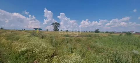 Участок в Воронежская область, Борисоглебский городской округ, с. ...